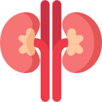 Kidney Test