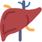 Liver test