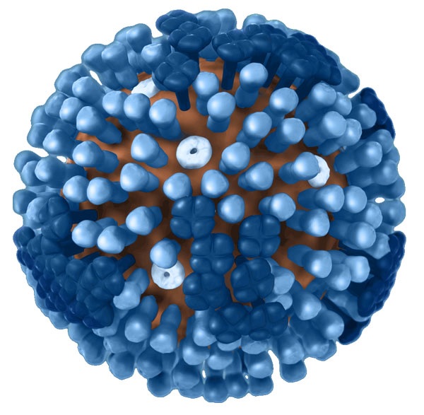 Influenza Test