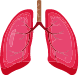 lung test