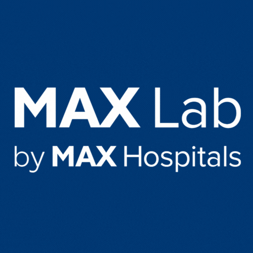 Max Lab Logo