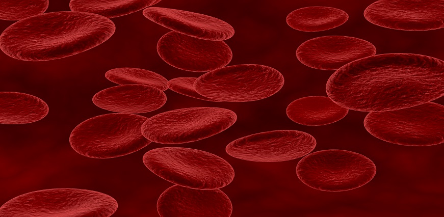How to Increase Your Red Blood Cell Count Quickly