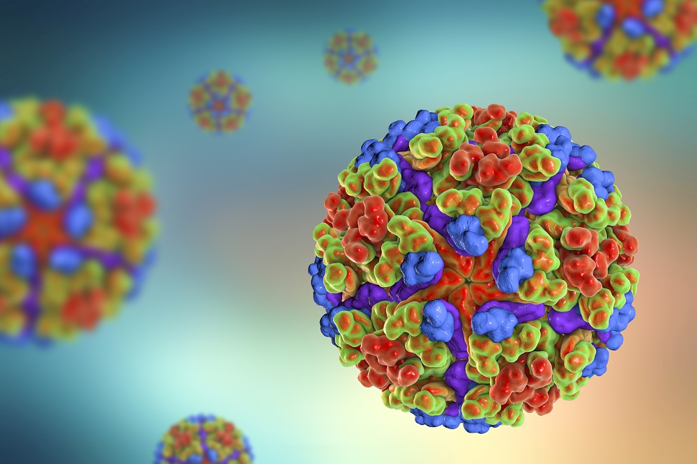Chikungunya Virus: Symptoms, Diagnosis, Treatment, Test Price