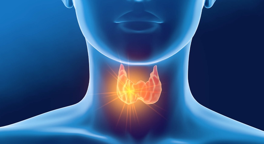 All You Need to Know About Thyroid Function Tests