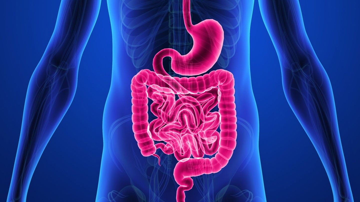 Crohn's Disease - Causes, Symptoms, Treatment & Diagnosis