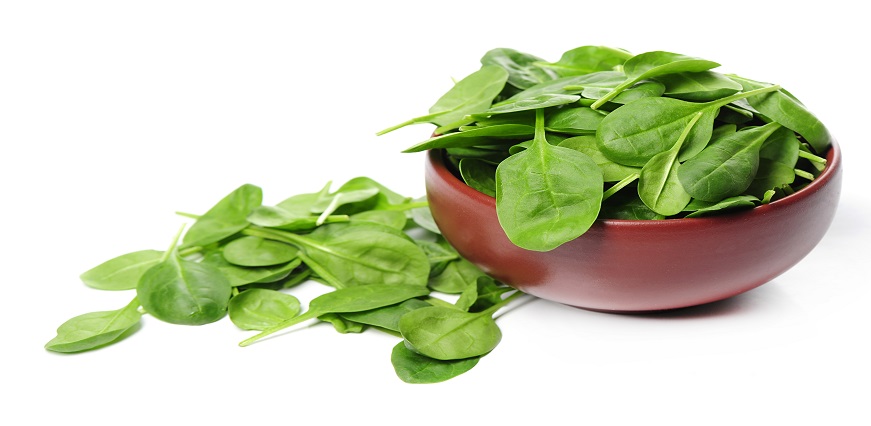 Iron Rich Foods - 12 Foods to Add to Your Diet