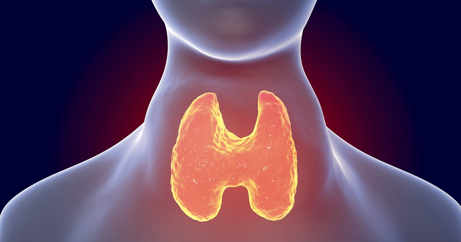 Graves’ Disease - Causes, Symptoms, Treatment & Diagnosis | Max Lab