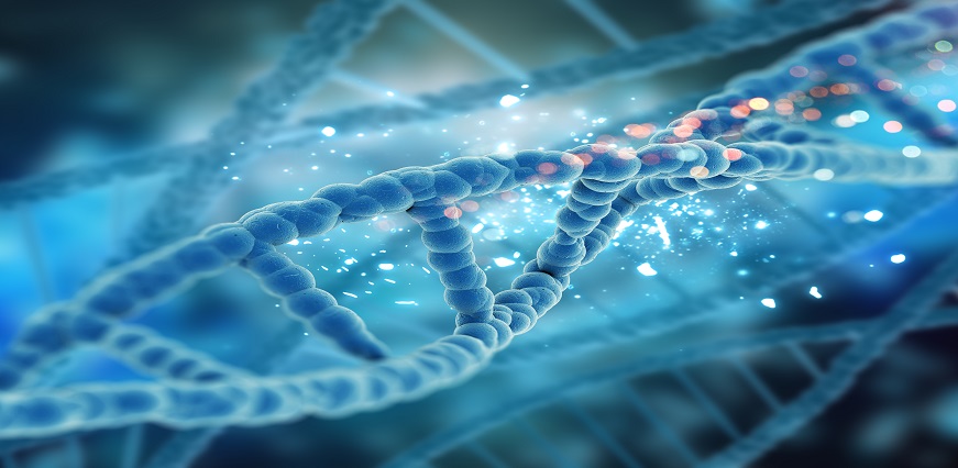 DNA Test Procedure