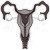 Cervical Cancer Symptoms