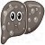 Liver Cancer Symptoms