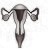 Menopause Symptoms