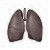 Pneumonia Symptoms