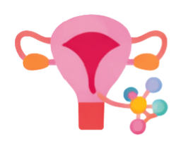 Hormonal & Reproductive Health