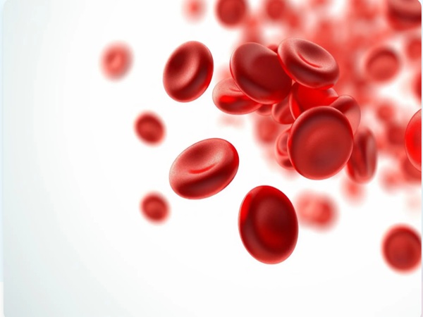 How to Increase Red Blood Cell (RBC) Count Quickly?