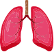 Lung Test